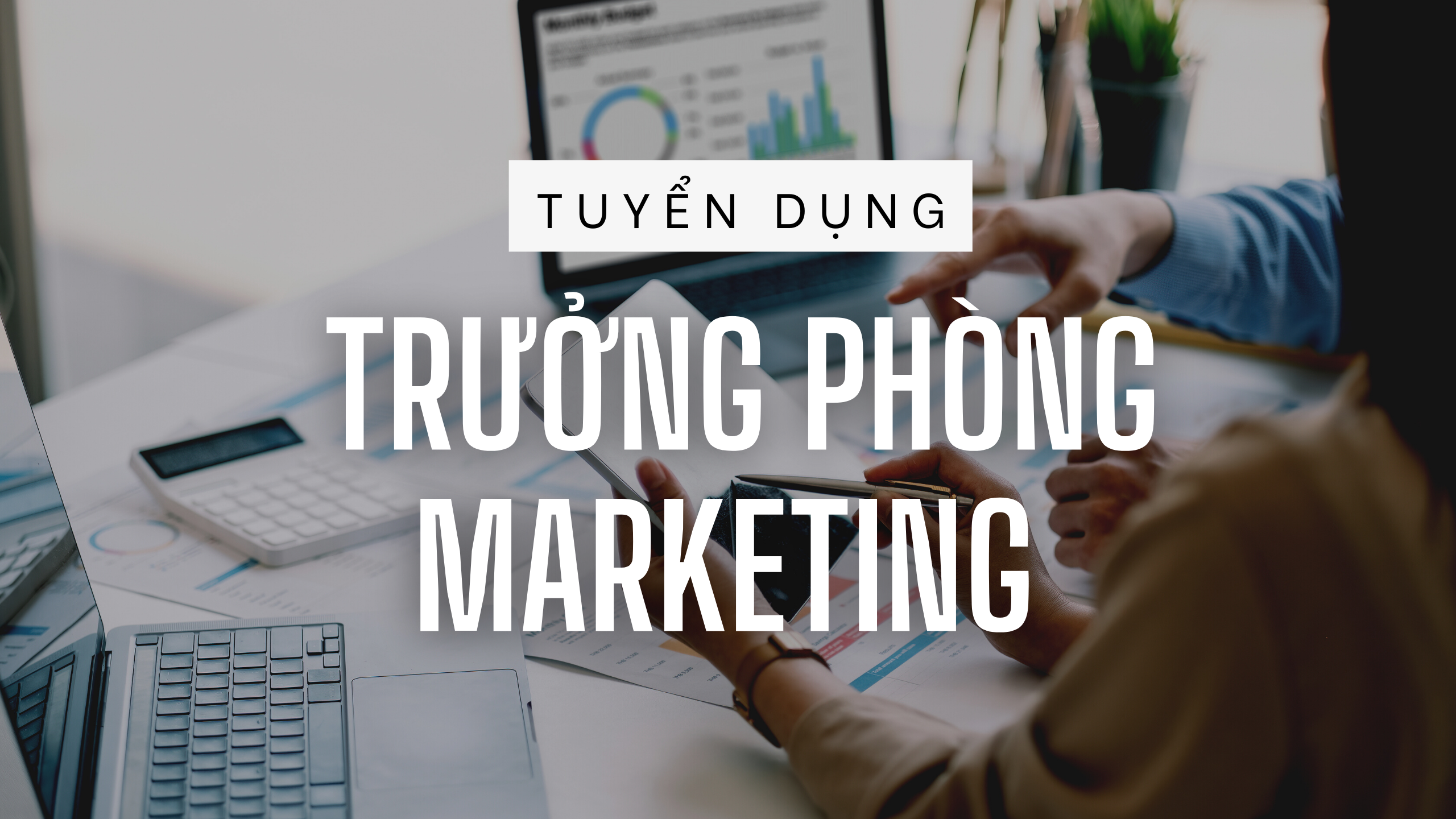 Tuyển dụng Trưởng phòng Marketing làm việc tại Việt Nam hoặc Nhật Bản