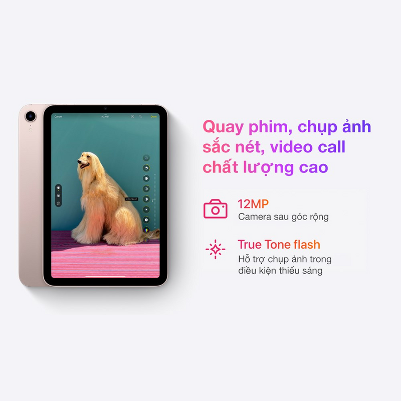 iPad Mini 6 2021 4G + Wifi Nguyên hộp từ SB