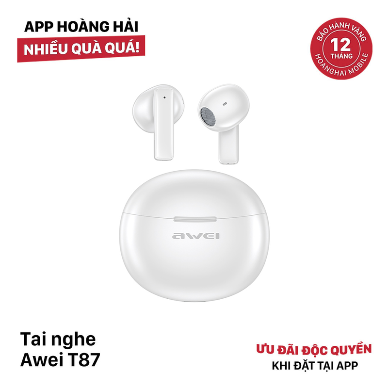 Tai nghe AWEI T87