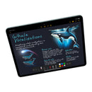 iPad Air 7 M3 2025 13in Wifi Quốc tế từ Apple Store