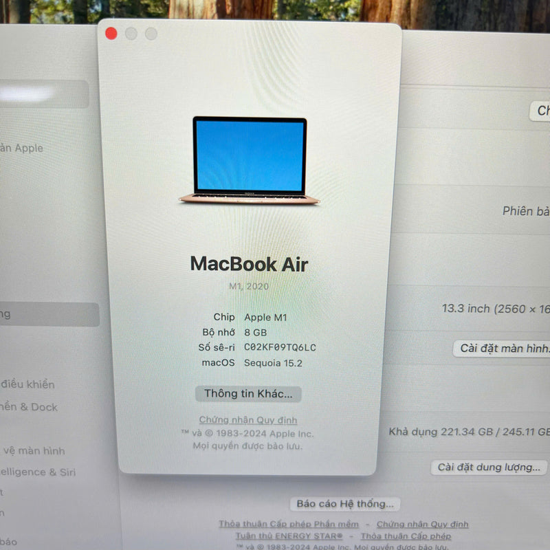 Macbook Air 2020 13.3in Vàng M1/RAM 8G/SSD 256G 98% pin 100% Sạc 3 lần BPTA