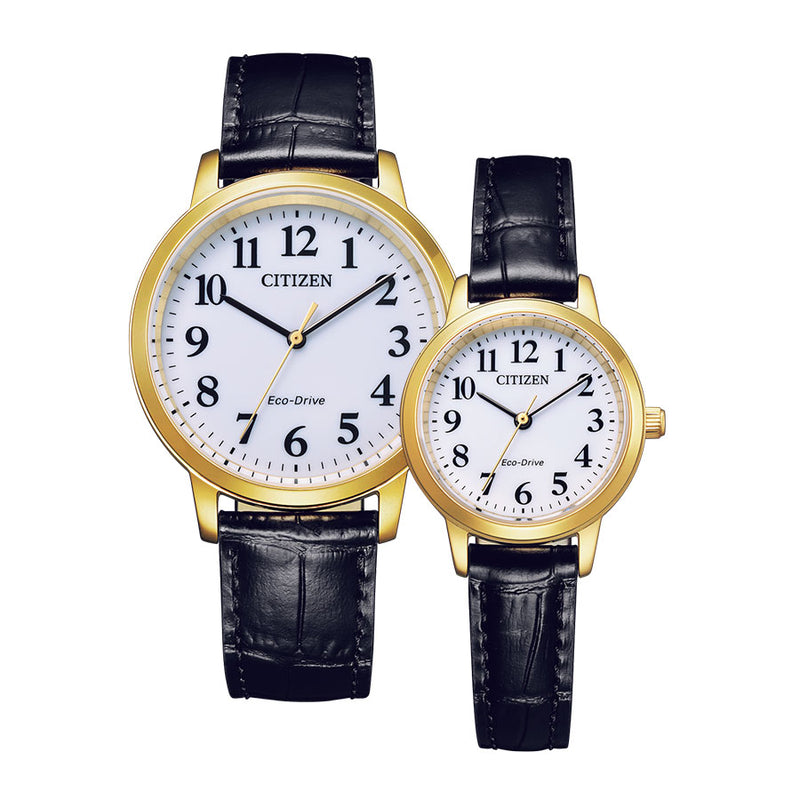 シチズン メンズ腕時計 BJ6543-10A |メス EM0932-10A 